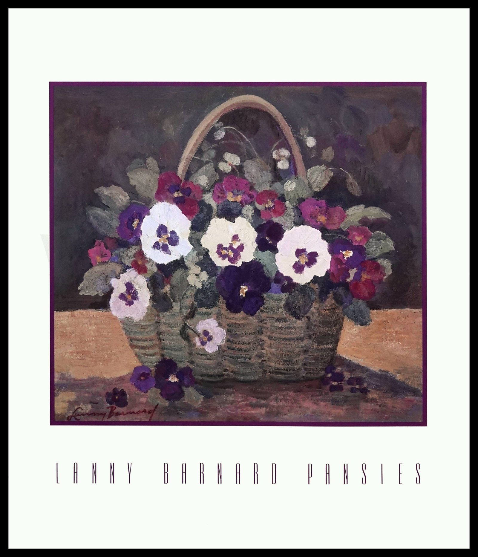 PG B-241 Pansies